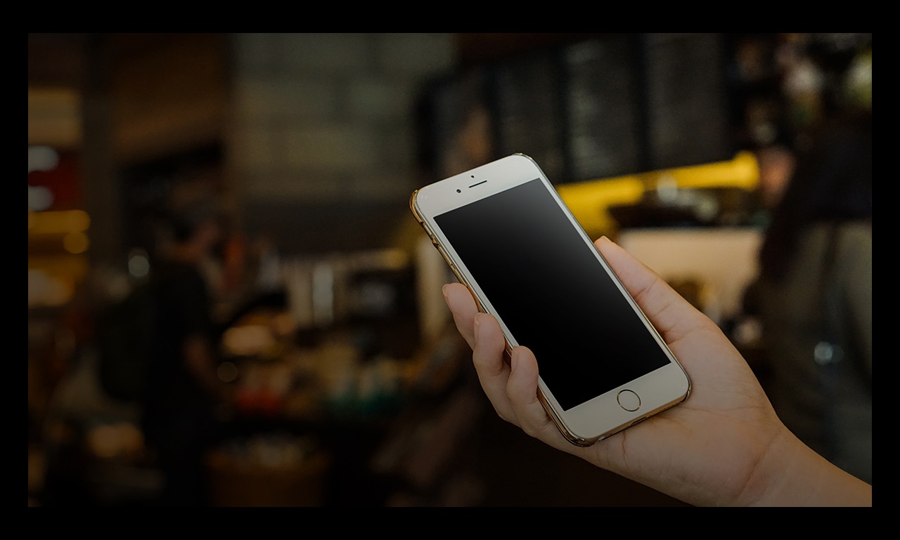 person holding phone with blank screen