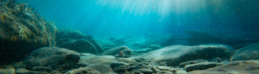 Underwater seascape.