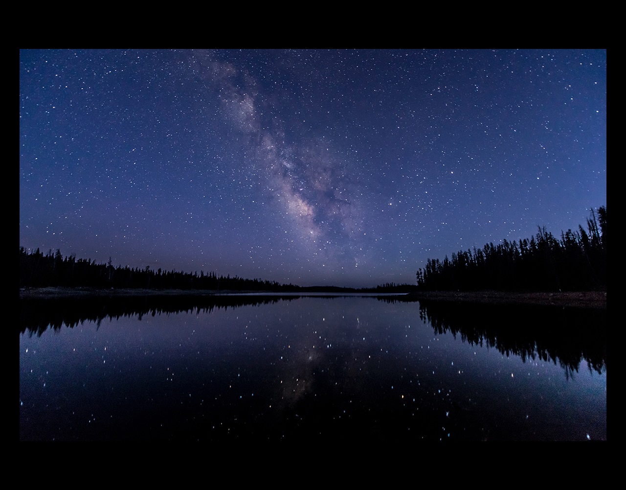 Lake with trees and reflection of stars