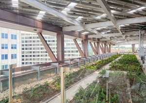 Roof with solar panels. 